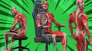 Ergonomics 101: How Gaming Chairs Support Good Back Health