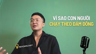 TÂM LÝ HỌC XÃ HỘI | Giải Mã Hiệu Ứng Bầy Đàn và Tâm Lý Đám Đông