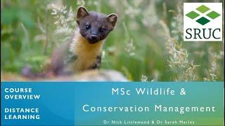 MSc Wildlife and Conservation Management Online Open Day - February 2024