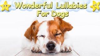 Super Relaxing Music For Dogs And Puppies  Calm Your Dog Within 3 Minutes 