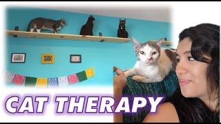 Pawsitive Vibes at the Witty Whisker Cat Cafe | Whats Up Jax?
