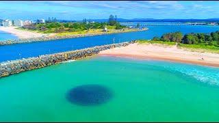 Forster-Tuncurry Mullet Run (with GREAT WHITES!)