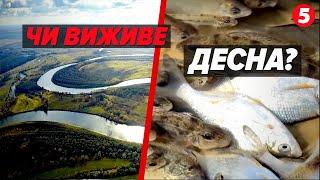 ЗАБРУДНЕННЯ води у Десні! Як врятувати річку? Пояснення фахівців!