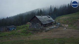 Life high in the mountains at the Highland farm, Carpathians