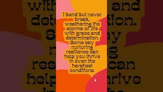 Well being series - Day 2 Mental health