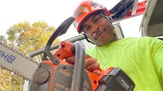 Arborist Tree Climbing 101