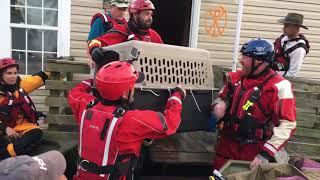 Hurricane Harvey: Animal Rescue Team rescues animals from flooding in Beaumont, TX