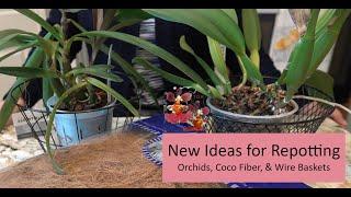 How to Repot Orchids w/ Coco Fiber, Wire Baskets & Media | Creative Cattleya & Complex Hybrid Repot