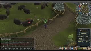 Top Runescape Private Server: Eternal718 Runescape Private Server Brand New RSPS