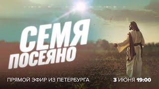 «СЕМЯ ПОСЕЯНО!» О процветании, благословении и богатстве. Прямой эфир из Петербурга