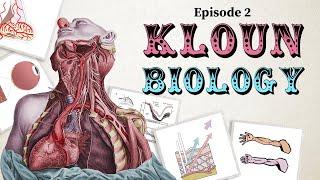 Clownlang Episode 2: The anatomy of the kloun people (Homo sapiens Corydon)