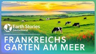 Die Normandie: Das grüne Paradies Frankreichs | Earth Stories Deutschland