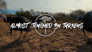 Turkey Hunting- Gobblers ALMOST TOUCH us!