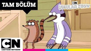 SÜREKLİ DİZİ | Uyku Döngüsü | TAM BÖLÜM | @cartoonnetworkturkiye