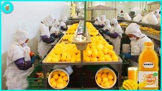 How to Process Mango Juice -  Modern Mango Juice Factory | Agriculture Technology