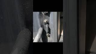 How to solve the door noise in the second row of Hyundai Motors Starex