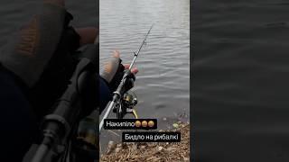 Приїхав на рибалку, а тут таке  #рибалкавукраїні #спінінг #fishing #carpfishing #рибалка #снасті