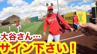 大谷翔平が初出場！デカくなった大谷選手にサインをおねだりしてみた！【現地取材】