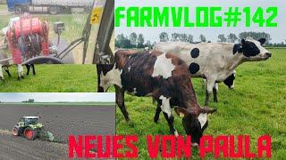 Farmvlog#142 Lieferung für ein neues Projekt/ der letzte Mais kommt in den Boden/Neues von "Paula"