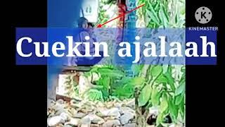 Video Viral Warga Rekam Aksi Muda Mudi Lagi Asik Mesum Dibelakang Rumah