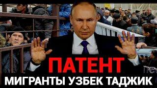 ДИККАТ️МИГРАНТ УЗБЕК ТАДЖИКГА НЕГА ПАТЕНТ БЕРИЛМАЯПДИ ПИТЕР МОСКВА️