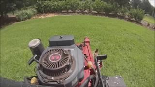 Mowing Vlog #5 - Another weekly lawn