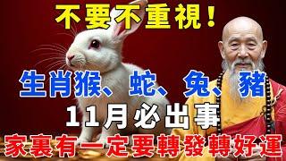 不要不重視！11月生肖猴、蛇、兔、豬必出事，家裏一位一定要轉發轉好運！【禪語明心】#生肖 #運勢 #風水 #財運  #生肖運勢 #生肖運程 #運勢