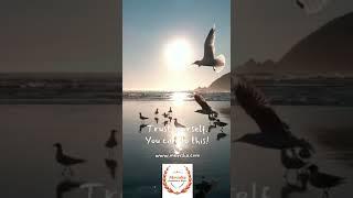 Mevisha foundation "Commitment to Success"
