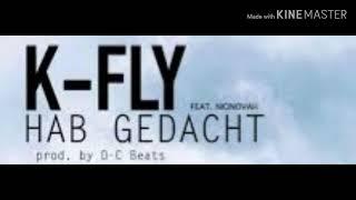 K-Fly - Hab gedacht( cover by der parte )(prod by. Magestick Records)