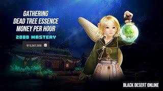 [BDO] Gathering - Dead Tree Essence - 2000 Mastery - Money Per Hour - 2024