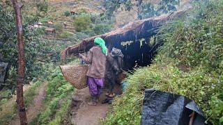 Most Relaxing Nepali Mountain Village Life | Rainy Day in Village| Daily Activities of Village Life|