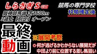 【しらさぎS2025】展開考察付き最終動画 狙いは先行差しと中団差しの馬