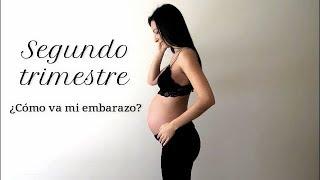 SEGUNDO TRIMESTRE EMBARAZO ¿SÍNTOMAS, CONTROLES, VIAJES? @rosapastelvlog