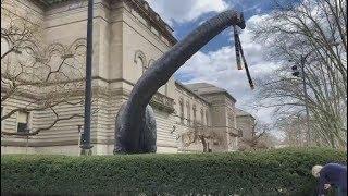 Pittsburgh: Carnegie Museum of Art and Natural History