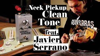 Spanky Strat Cleans // Steel String MKII