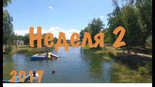 Неделя 2 2017