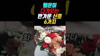 행운이 다가오는 반가운 신호 6가지 #명언 #오디오북 #좋은글 #지혜 #인생
