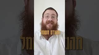 3 עובדות שלא ידעתם על הרבי מליובאוויטש