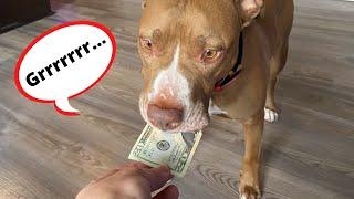 Penny is stealing my money!