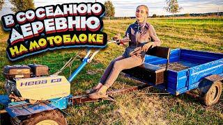 Уехала в соседнее село… Расскажу все новости! | Молодая Ферма