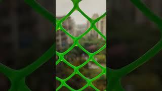 Joy of unexpected rain  | #rain #noida #suddenly