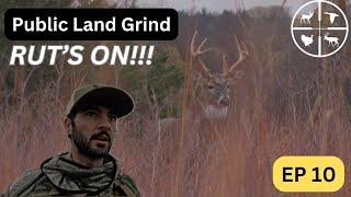 BUCK's ON THE MOVE     PUBLIC LAND GRIND ep 10