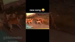 Dog making song/monu's creation/short##