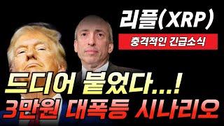 [리플 전망]드디어 붙었다 3만원 대폭등 시나리오 이렇게 나옵니다