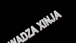 WADZA XINJA DJ CONTAX PRO%DAYz