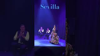 “ Baile Flamenco en Sevilla: La Pasión de Andalucía ” #flamenco