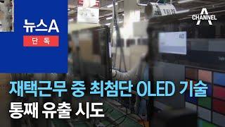 [단독]재택근무 중 최첨단 OLED 기술 통째 유출 시도 | 뉴스A