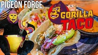 Gorilla Taco Mexican Restaurant Review What's New Pigeon Forge Tennessee 2025 What Did We Think?