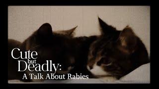 Cute But Deadly: A Talk About Rabies