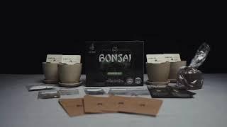 Home Grown Garden Bonsai Kit Grow Guide